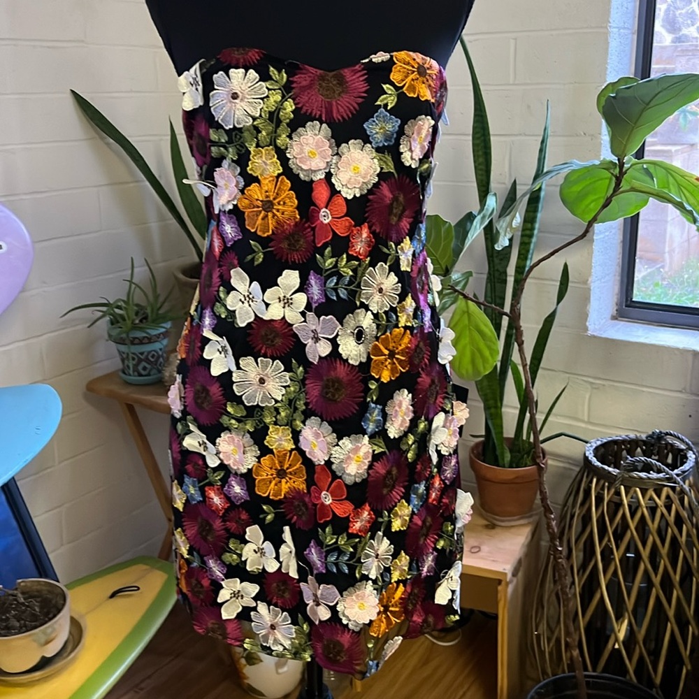 Thriving Beauty Black 3D Floral Embroidered Strapless Mini Dress